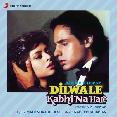 Dilwale Kabhi Na Hare (Original Motion Picture Soundtrack)'s cover