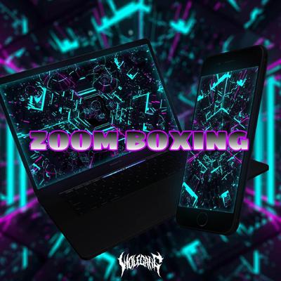 ZOOM BOXING's cover