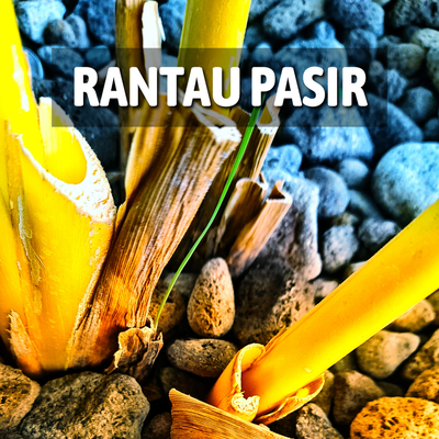 Rantau Pasir's cover