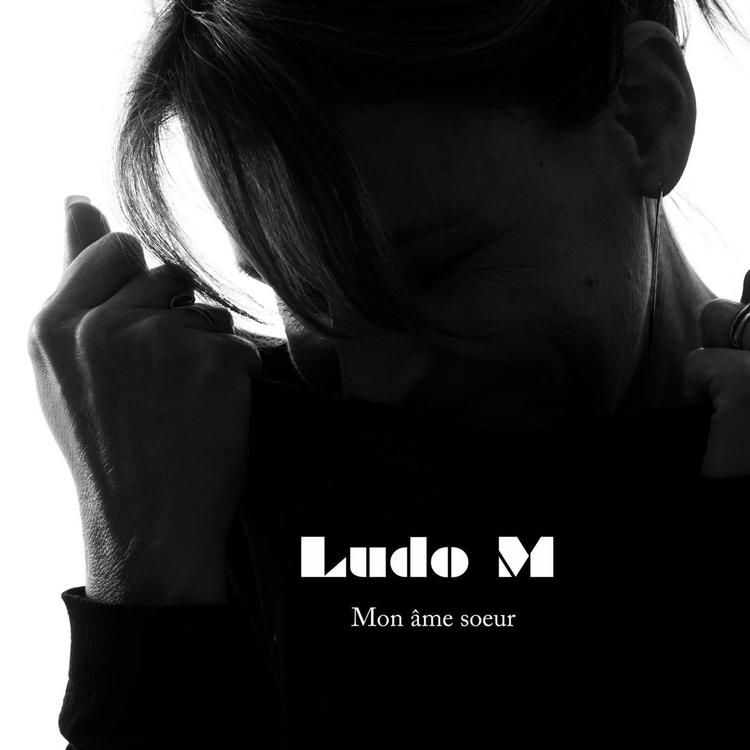 Ludo M's avatar image