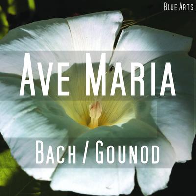 Ave Maria ( Bach , Gounod )'s cover
