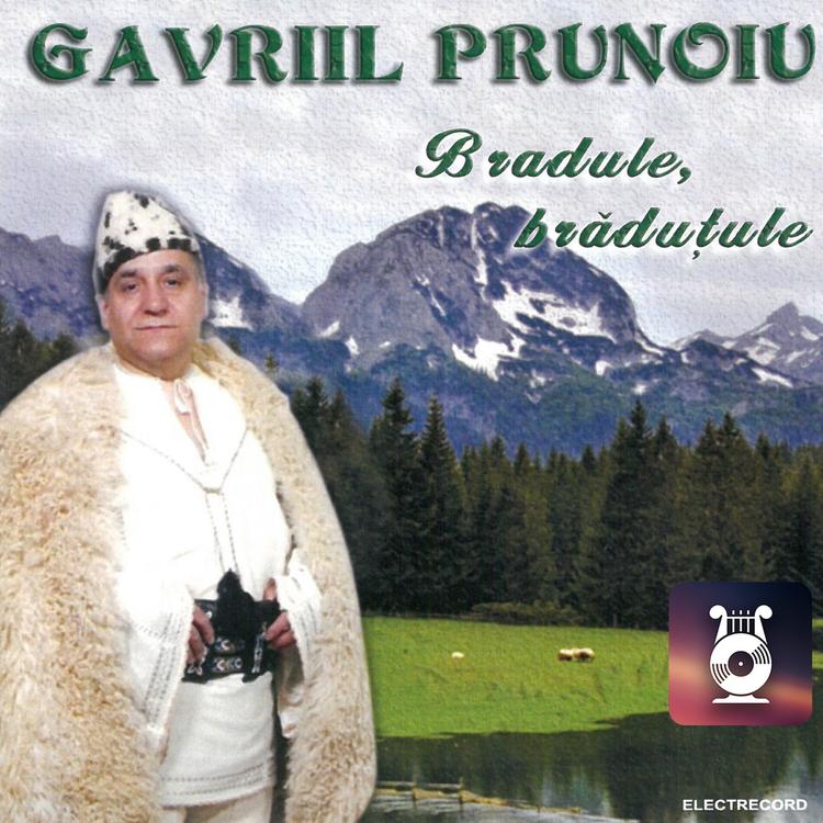 Gavriil Prunoiu's avatar image