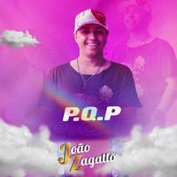 João Zagatto's avatar cover
