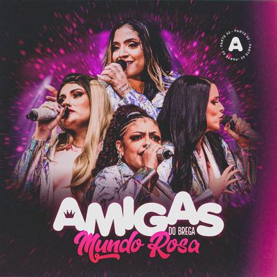 Perdoa (Ao Vivo) By Banda Amigas do Brega's cover