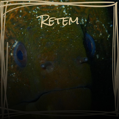 Retem's cover