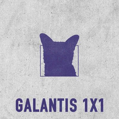 1x1 By Galantis's cover