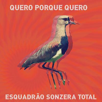 Esquadrão Sonzera Total's cover