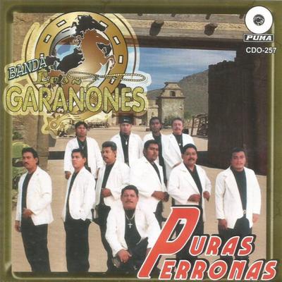 Puras Perronas's cover