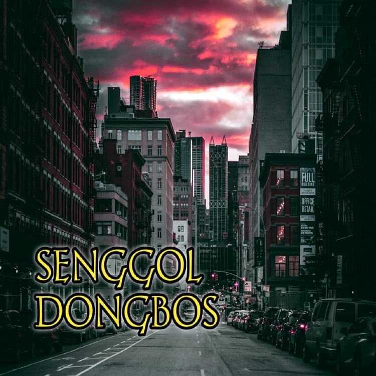 Senggol DongBos's avatar image