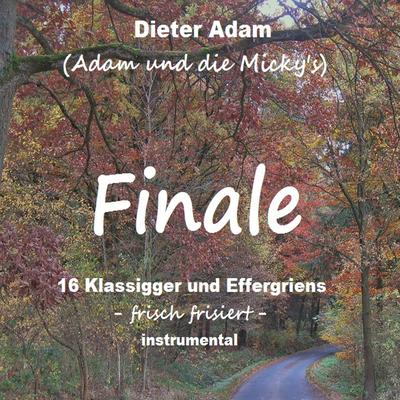 Finale - 16 Klassigger und Effergriens's cover