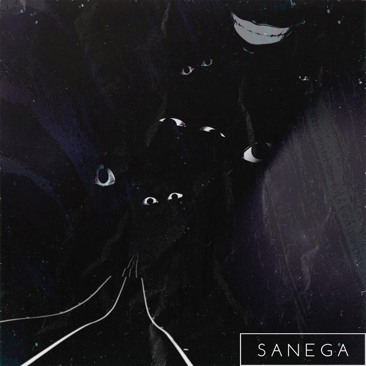 SANEGA's avatar image