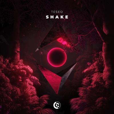 Shake By Teseo's cover