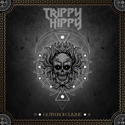 Trippy Hippy's cover