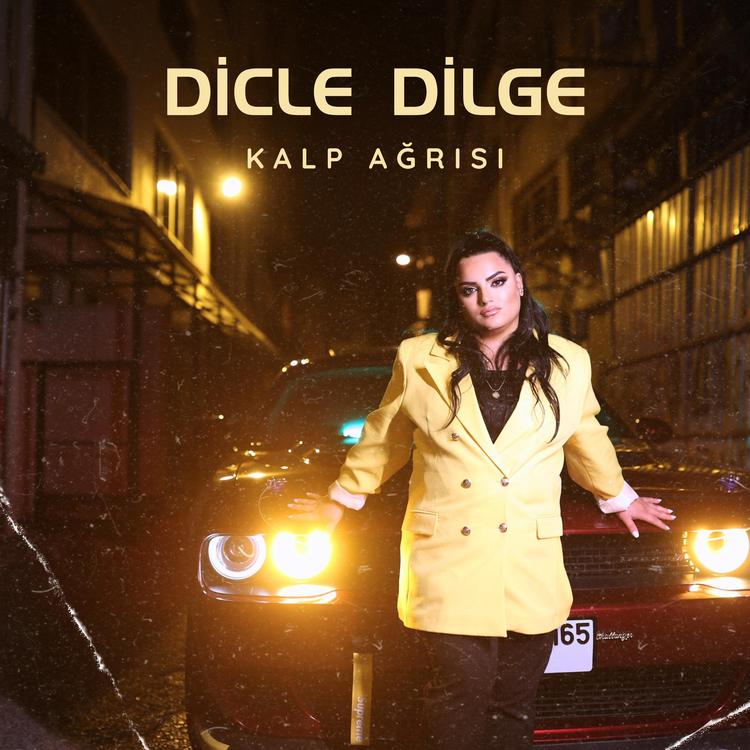 Dicle Dilge's avatar image