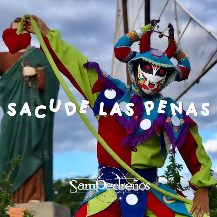 Sampedreños's avatar image
