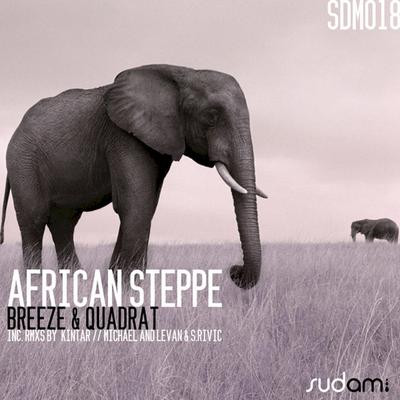 African Steppe (Original Mix)'s cover