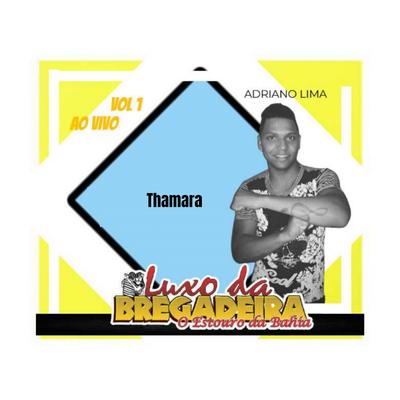 Thamara, Vol. 1 (Ao Vivo) By Luxo da bregadeira's cover