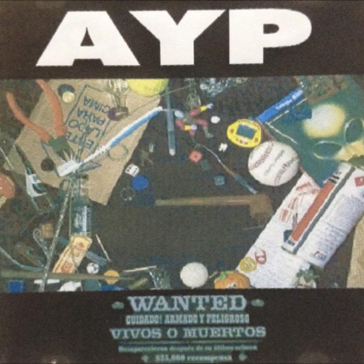 AYP's avatar image