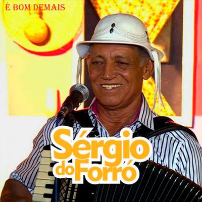 Tomar um Gole By Sergio do Forró's cover