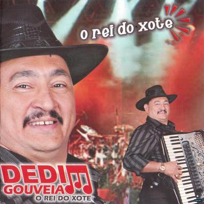 Zé Pombão's cover