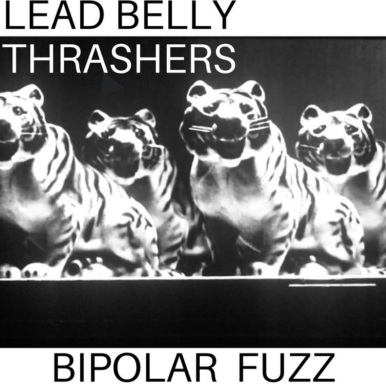 Lead Belly Thrashers's avatar image
