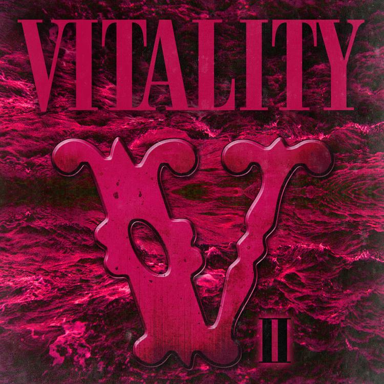 Vitality's avatar image