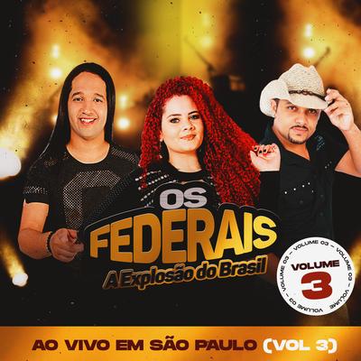 Que Saudade de Você By Os Federais's cover