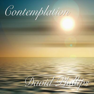 Contemplation By David Phillips's cover