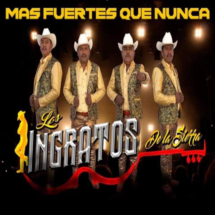 Los Ingratos De La Sierra's avatar image