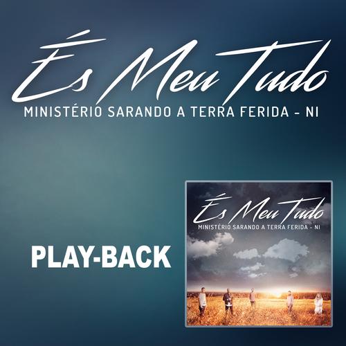 És Meu Tudo (Playback)'s cover