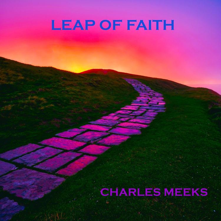Charles Meeks's avatar image