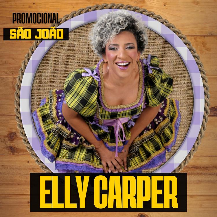 Elly Carper's avatar image