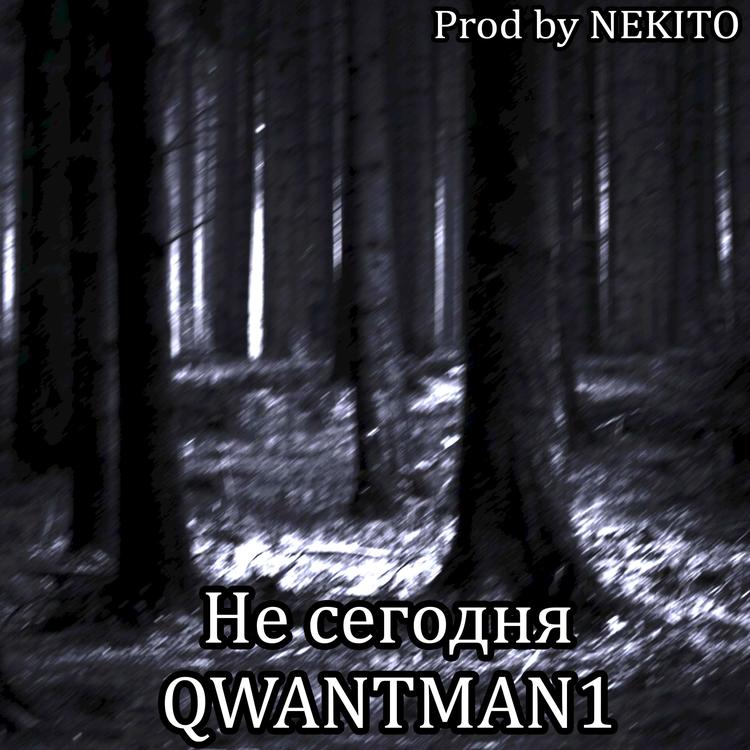 Qwantman1's avatar image