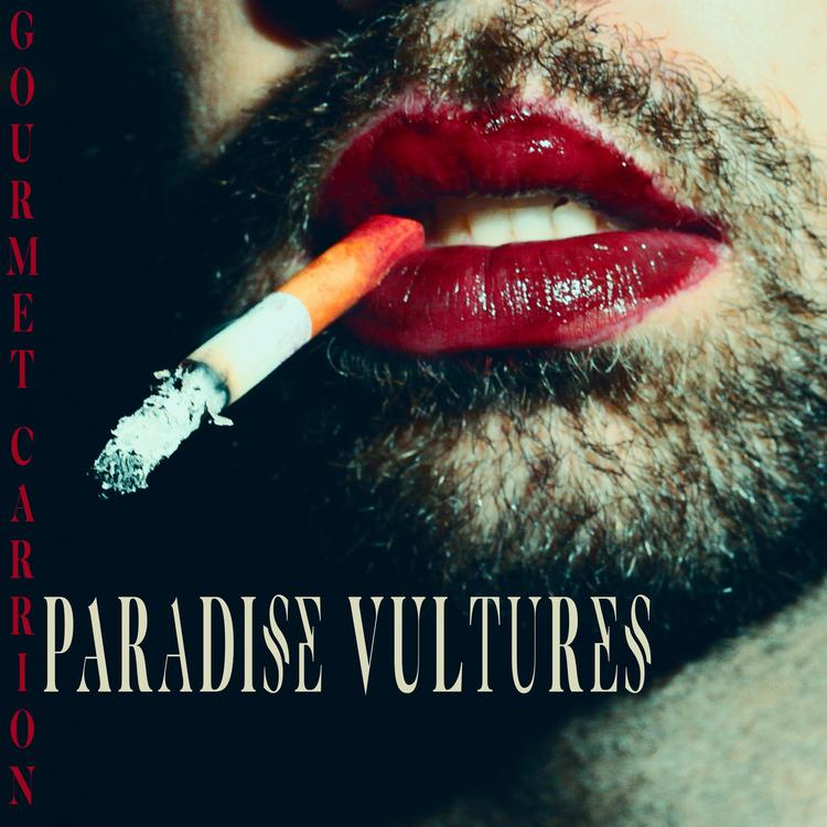 Paradise Vultures's avatar image