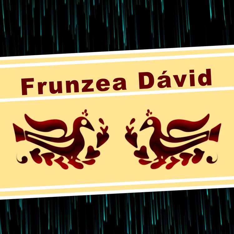 Frunzea Dávid's avatar image