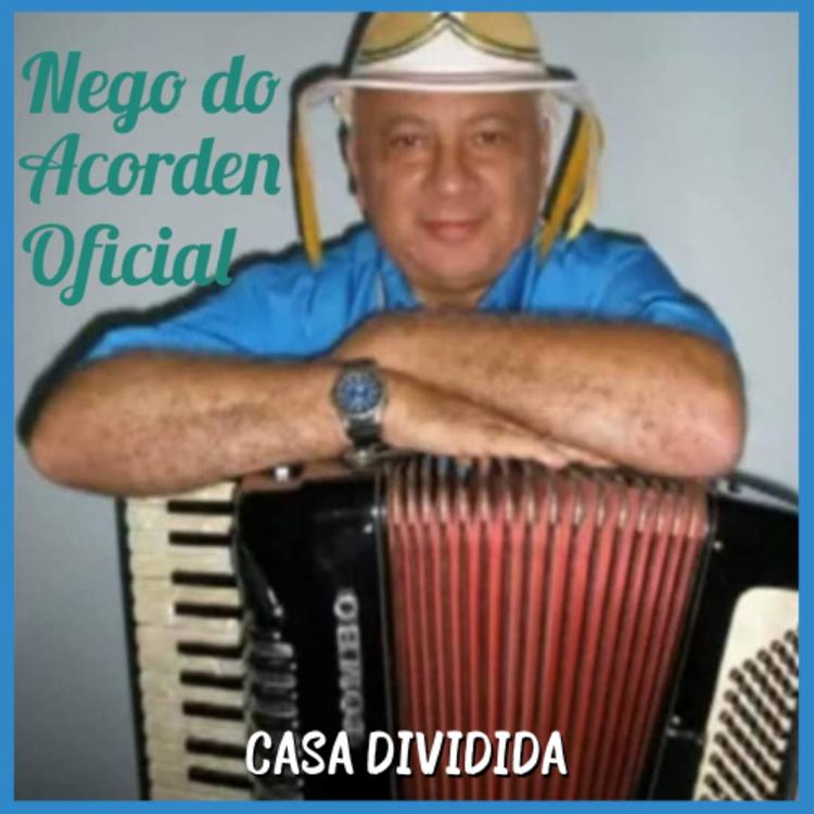 Nego Do Acordeon's avatar image