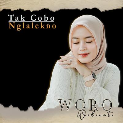 Tak Cobo Nglalekno's cover