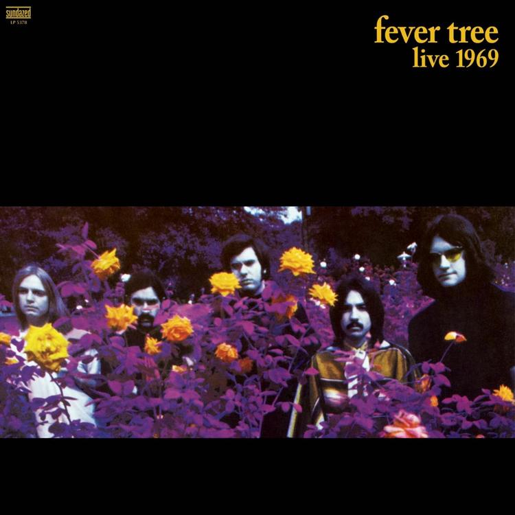 Fever Tree's avatar image