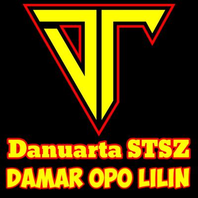 Danuarta STSZ's cover