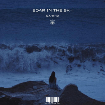 Soar In The Sky's cover