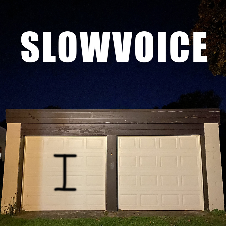 Slowvoice's avatar image