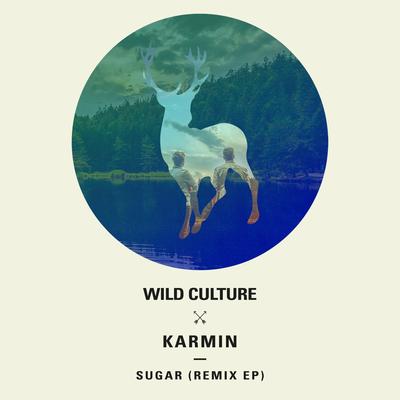 Sugar (Wild Culture vs. Karmin;Lost Kings Remix) By Wild Culture, Karmin, Norris Shanholtz, Robert Abisi, Lost Kings's cover