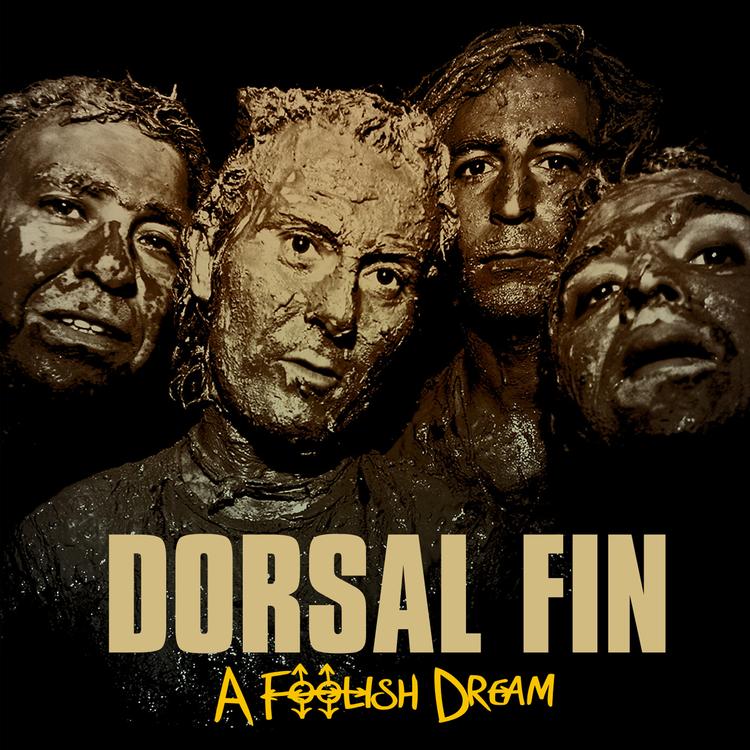 Dorsal Fin's avatar image