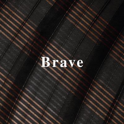 Brave By Nils Klein's cover