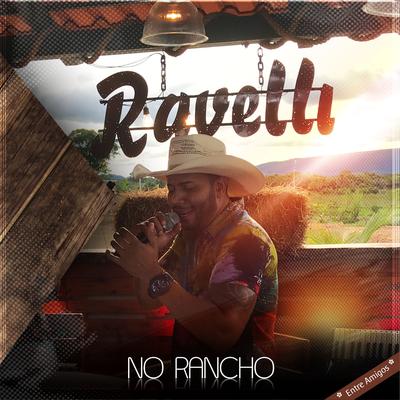 No Rancho Entre Amigos (Ao Vivo)'s cover