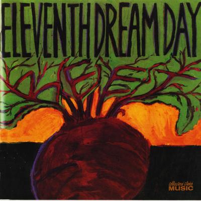 Testify By Eleventh Dream Day's cover