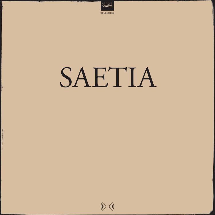 Saetia's avatar image