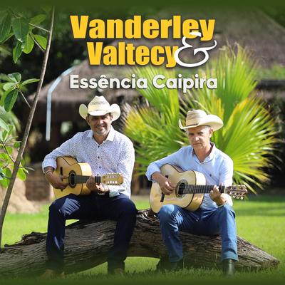 Não Quero Sentir Saudade By Vanderley e Valtecy's cover