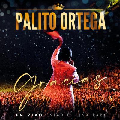 Yo Tengo Fe (En Vivo Estadio Luna Park)'s cover