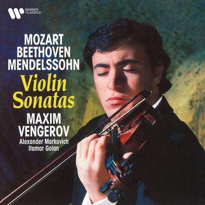 Violin Sonata No. 26 in B-Flat Major, K. 378: I. Allegro moderato's cover